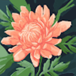 Meet your Posher, Roselynn